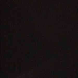 Meet your Posher, Randi